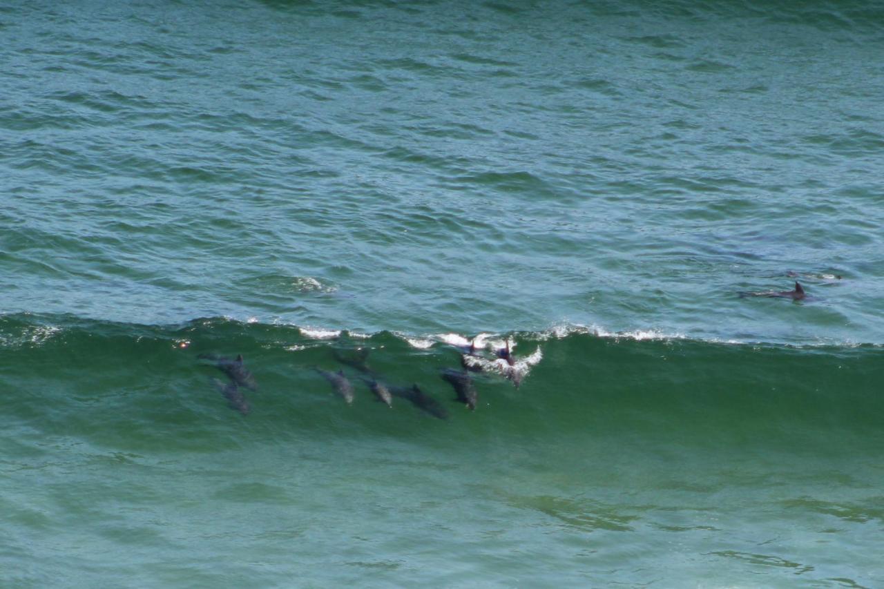 הוילה קורבומסטראנד Gulls Way מראה חיצוני תמונה